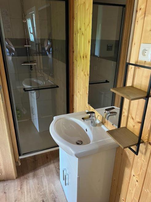 Domaine Des Epinettes Hotel Saint-Romain-de-Jalionas Екстериор снимка
