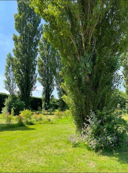 Domaine Des Epinettes Hotel Saint-Romain-de-Jalionas Екстериор снимка
